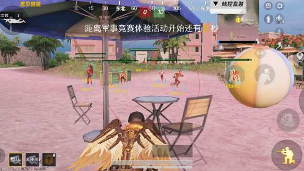 和平精英辅助【飞鸟】